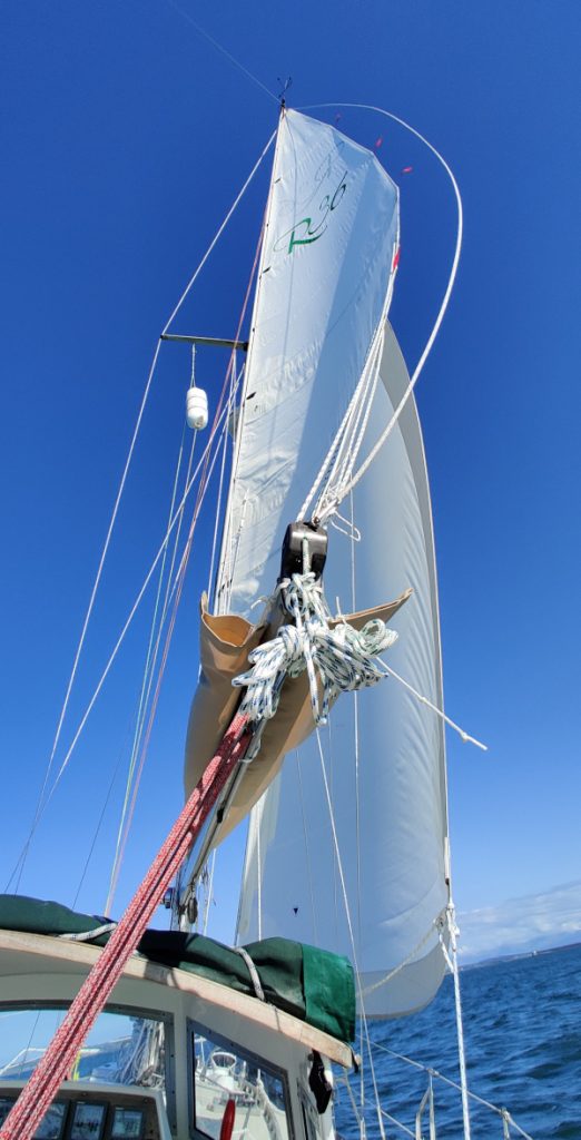 Kora sailing. New sails